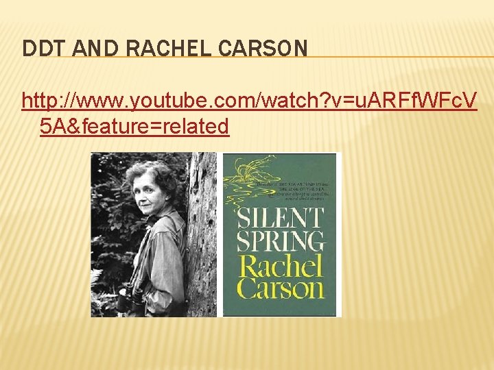 DDT AND RACHEL CARSON http: //www. youtube. com/watch? v=u. ARFf. WFc. V 5 A&feature=related