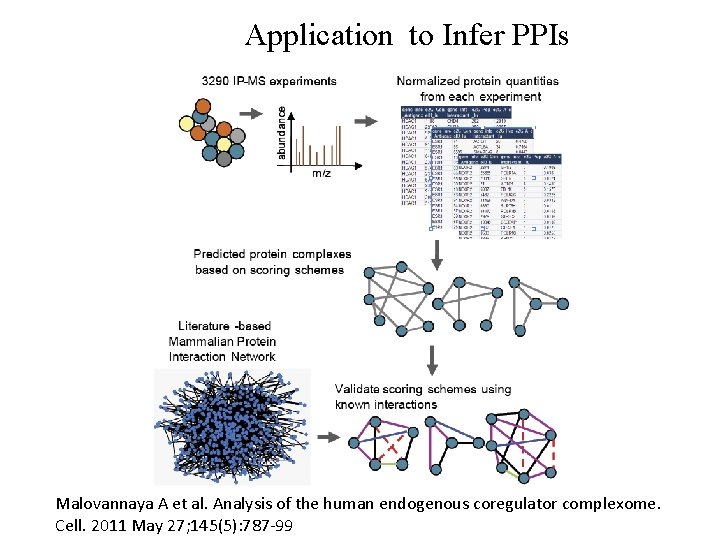 Application to Infer PPIs Malovannaya A et al. Analysis of the human endogenous coregulator