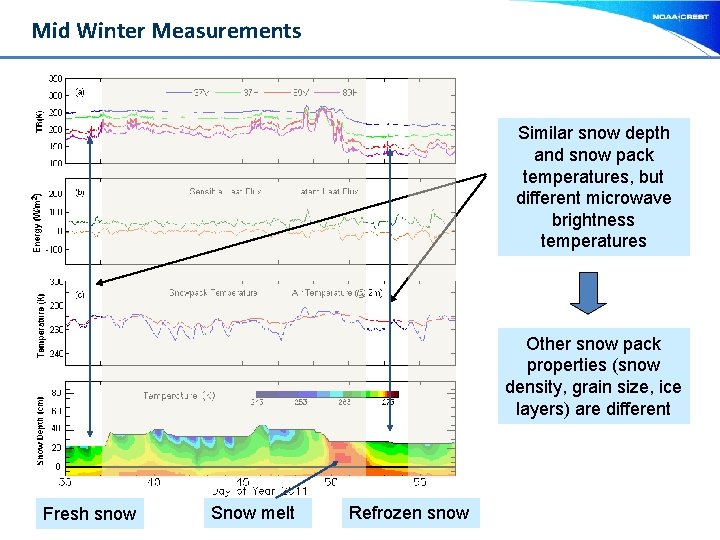 Mid Winter Measurements Similar snow depth and snow pack temperatures, but different microwave brightness