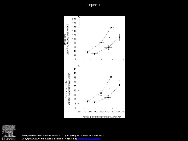 Figure 1 Kidney International 2000 57191 -202 DOI: (10. 1046/j. 1523 -1755. 2000. 00820.