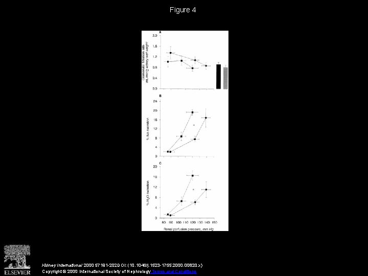 Figure 4 Kidney International 2000 57191 -202 DOI: (10. 1046/j. 1523 -1755. 2000. 00820.