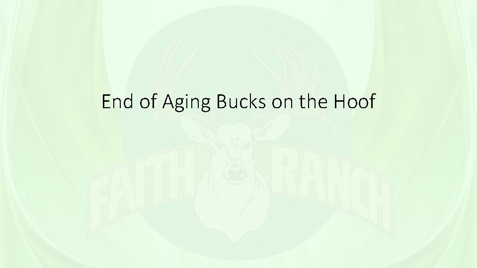 End of Aging Bucks on the Hoof 