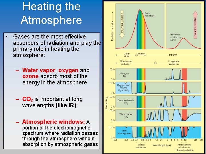 Heating the Atmosphere • Gases are the most effective absorbers of radiation and play