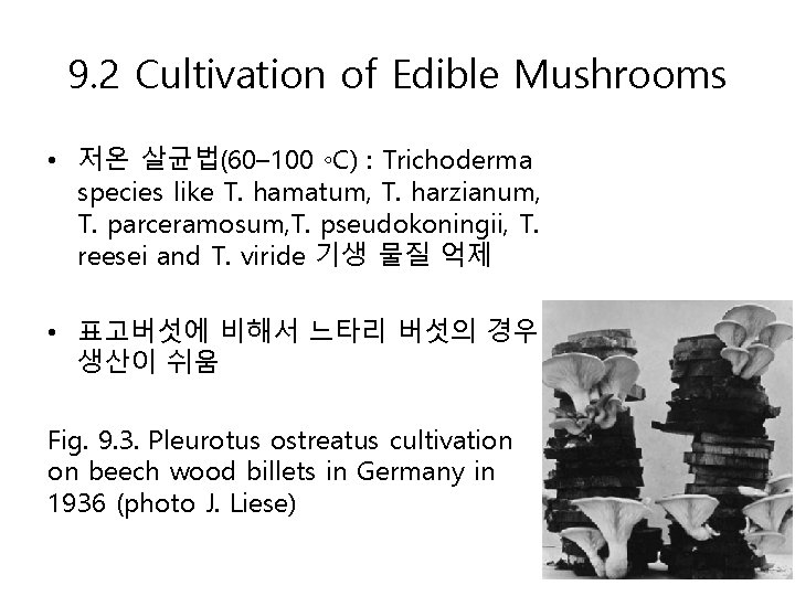 9. 2 Cultivation of Edible Mushrooms • 저온 살균법(60– 100 ◦C) : Trichoderma species