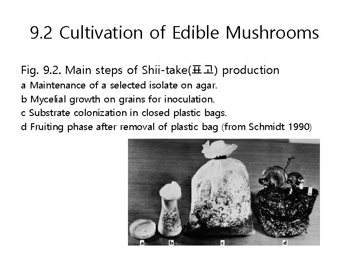 9. 2 Cultivation of Edible Mushrooms Fig. 9. 2. Main steps of Shii-take(표고) production