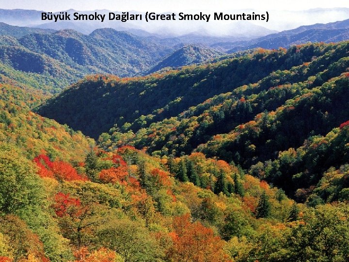 Büyük Smoky Dağları (Great Smoky Mountains) 24 