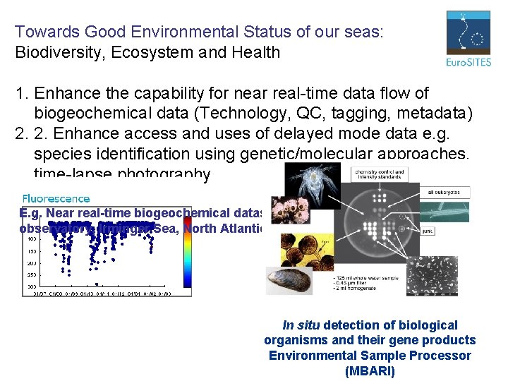 Towards Good Environmental Status of our seas: Biodiversity, Ecosystem and Health 1. Enhance the