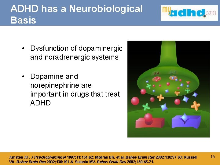 ADHD has a Neurobiological Basis • Dysfunction of dopaminergic and noradrenergic systems • Dopamine