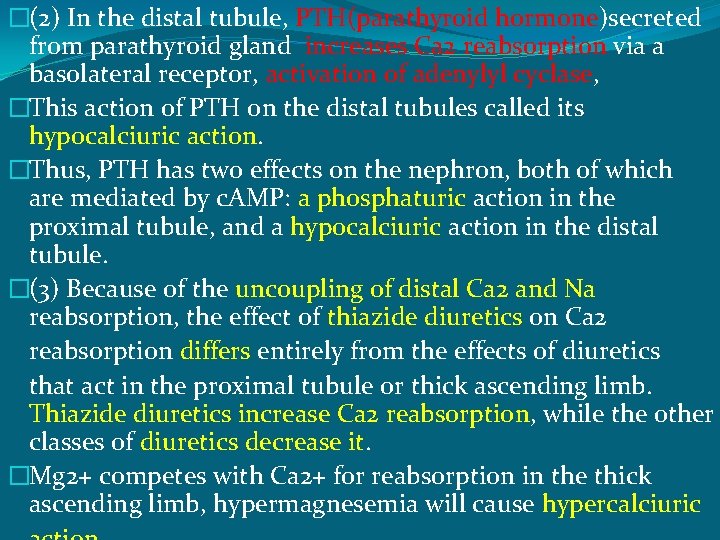 �(2) In the distal tubule, PTH(parathyroid hormone)secreted from parathyroid gland increases Ca 2 reabsorption