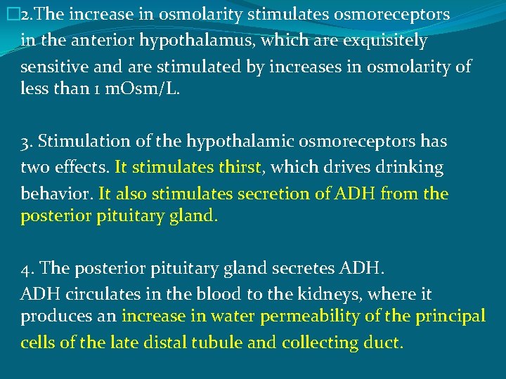 � 2. The increase in osmolarity stimulates osmoreceptors in the anterior hypothalamus, which are