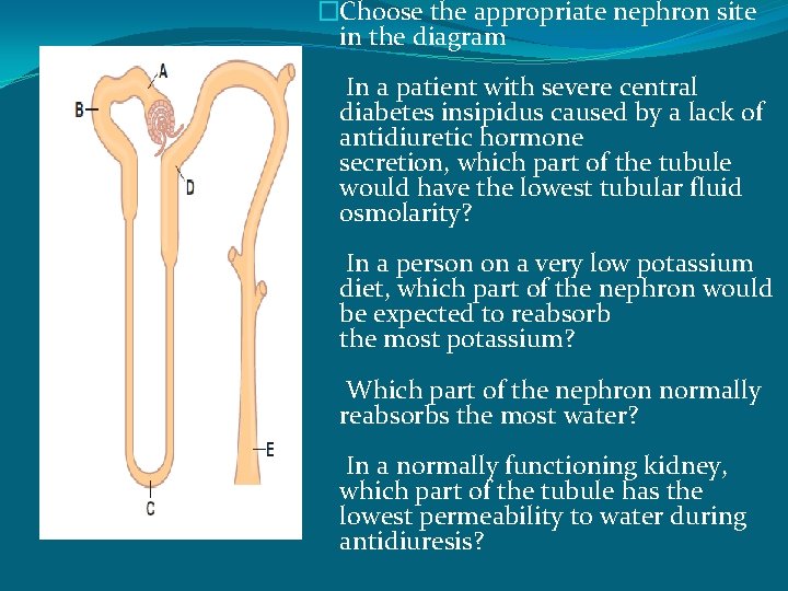 �Choose the appropriate nephron site in the diagram In a patient with severe central
