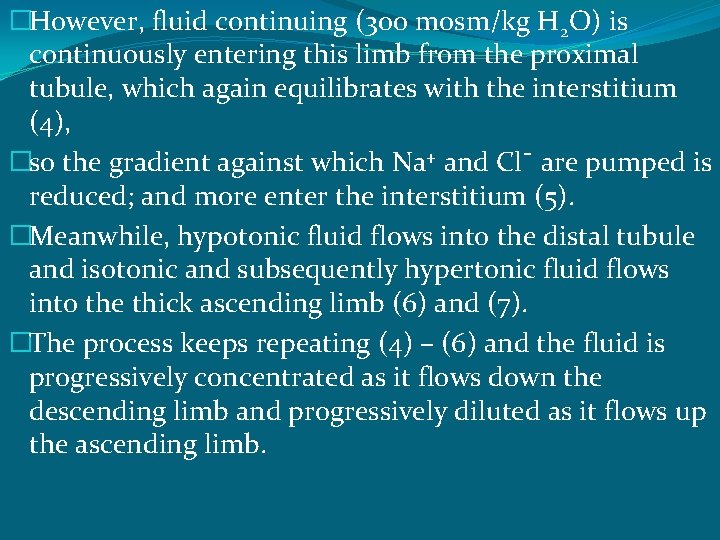 �However, fluid continuing (300 mosm/kg H 2 O) is continuously entering this limb from