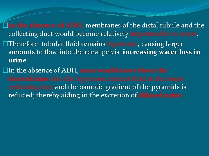 �in the absence of ADH, membranes of the distal tubule and the collecting duct