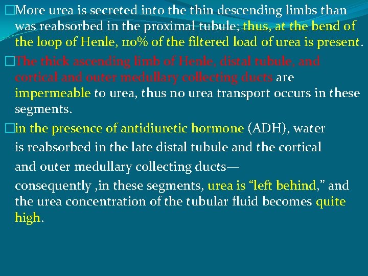 �More urea is secreted into the thin descending limbs than was reabsorbed in the