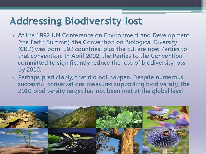 Addressing Biodiversity lost • At the 1992 UN Conference on Environment and Development (the