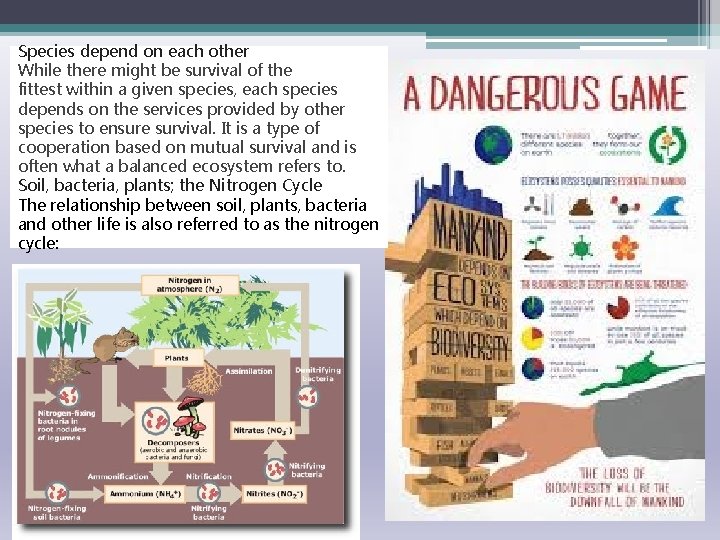 Species depend on each other While there might be survival of the fittest within