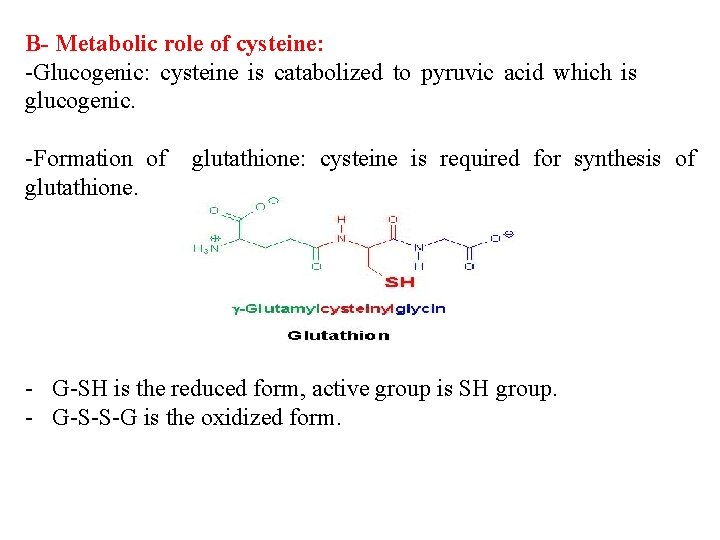 B- Metabolic role of cysteine: -Glucogenic: cysteine is catabolized to pyruvic acid which is