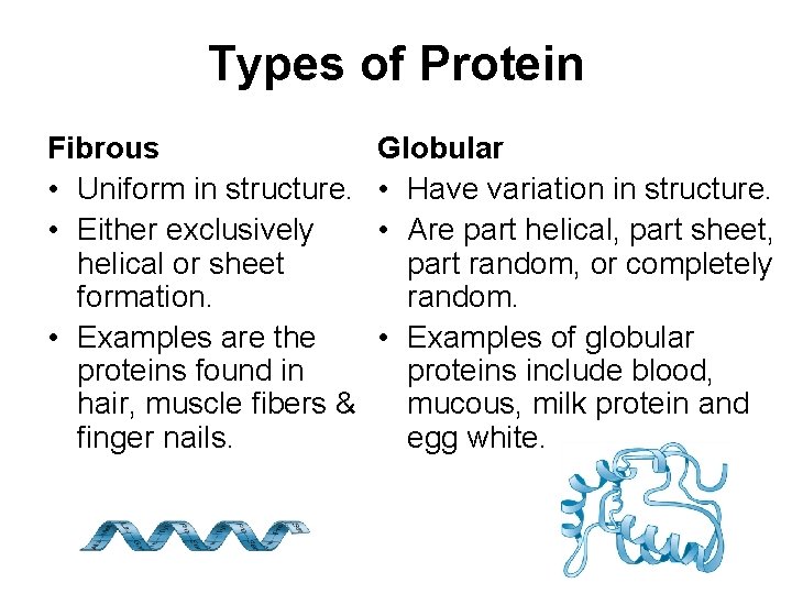 Types of Protein Fibrous • Uniform in structure. • Either exclusively helical or sheet