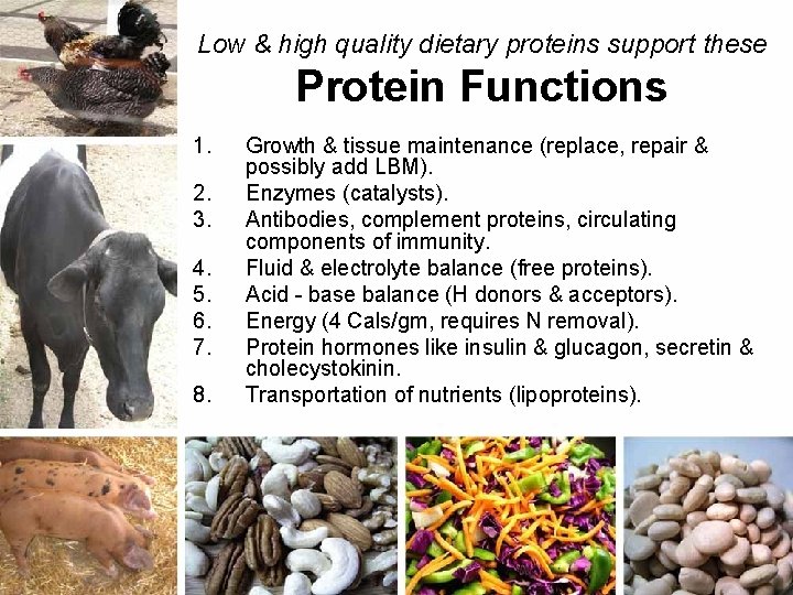 Low & high quality dietary proteins support these Protein Functions 1. 2. 3. 4.