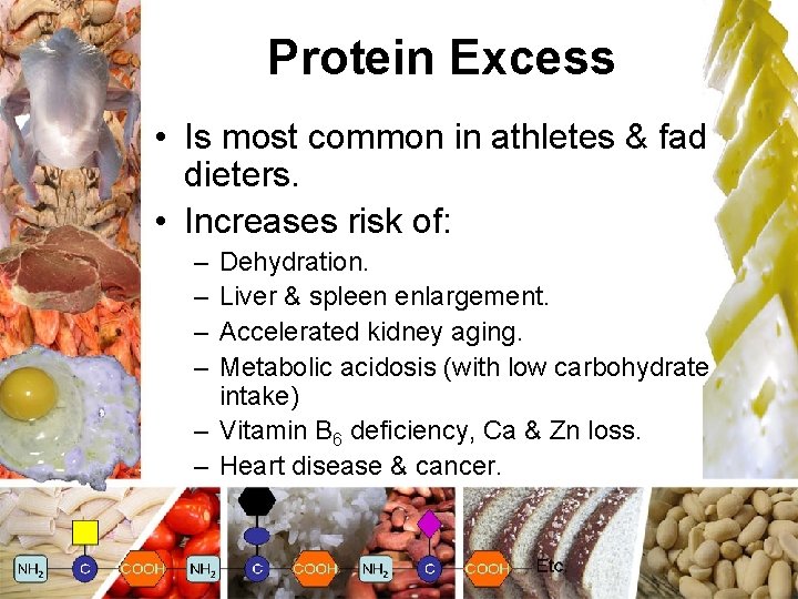Protein Excess • Is most common in athletes & fad dieters. • Increases risk
