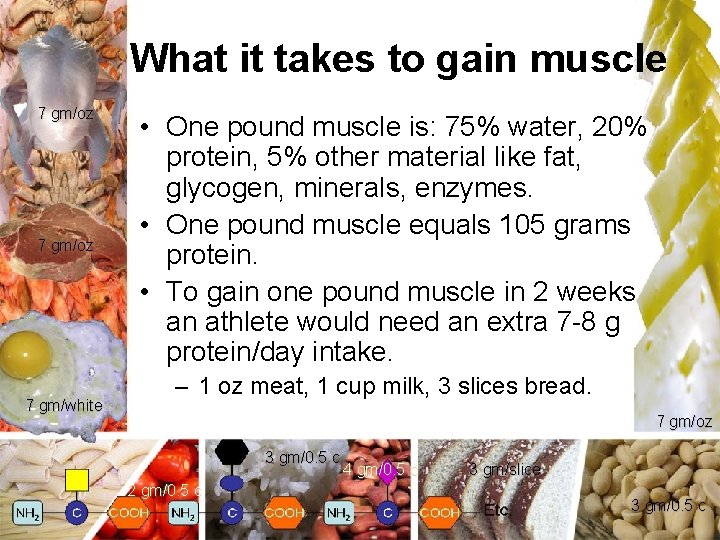 What it takes to gain muscle 7 gm/oz 7 gm/white • One pound muscle