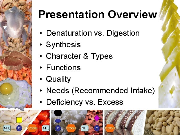 Presentation Overview • • Denaturation vs. Digestion Synthesis Character & Types Functions Quality Needs