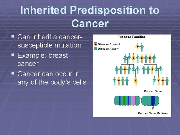 Inherited Predisposition to Cancer § Can inherit a cancersusceptible mutation § Example: breast cancer