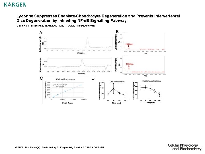 Lycorine Suppresses Endplate-Chondrocyte Degeneration and Prevents Intervertebral Disc Degeneration by Inhibiting NF-κB Signalling Pathway