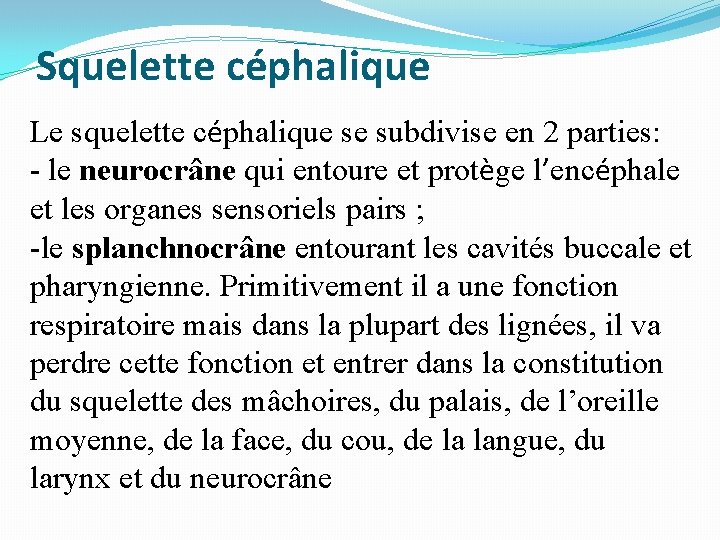 Squelette céphalique Le squelette céphalique se subdivise en 2 parties: - le neurocrâne qui