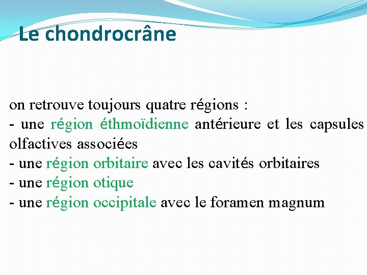 Le chondrocrâne on retrouve toujours quatre régions : - une région éthmoïdienne antérieure et