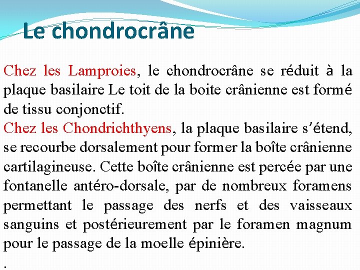 Le chondrocrâne Chez les Lamproies, le chondrocrâne se réduit à la plaque basilaire Le