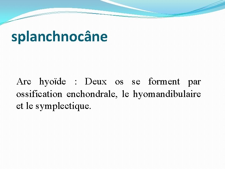 splanchnocâne Arc hyoïde : Deux os se forment par ossification enchondrale, le hyomandibulaire et