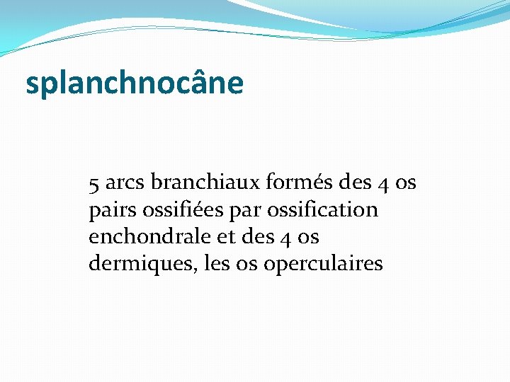 splanchnocâne 5 arcs branchiaux formés des 4 os pairs ossifiées par ossification enchondrale et