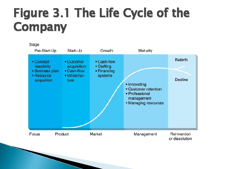 Figure 3. 1 The Life Cycle of the Company 