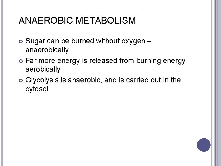 ANAEROBIC METABOLISM Sugar can be burned without oxygen – anaerobically Far more energy is