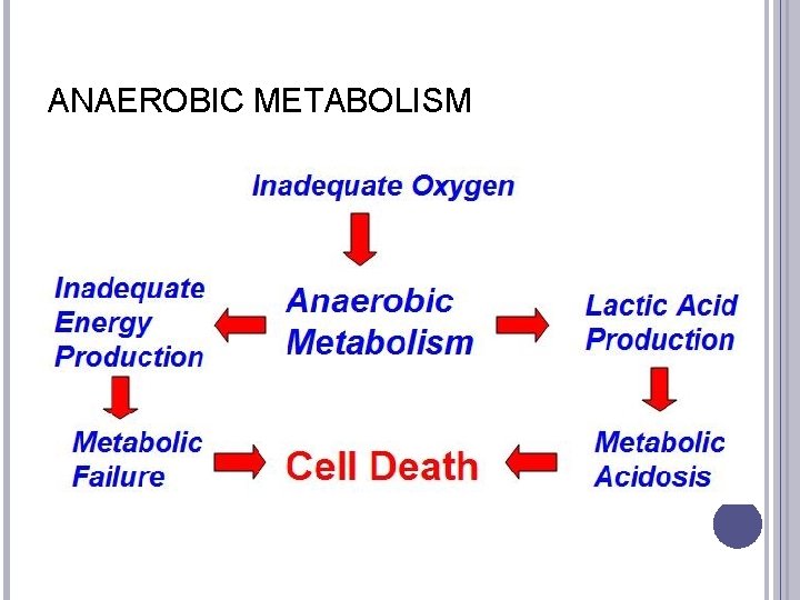 ANAEROBIC METABOLISM 