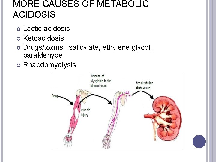 MORE CAUSES OF METABOLIC ACIDOSIS Lactic acidosis Ketoacidosis Drugs/toxins: salicylate, ethylene glycol, paraldehyde Rhabdomyolysis