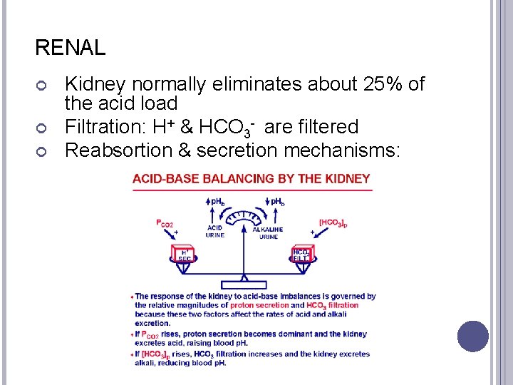 RENAL Kidney normally eliminates about 25% of the acid load Filtration: H+ & HCO