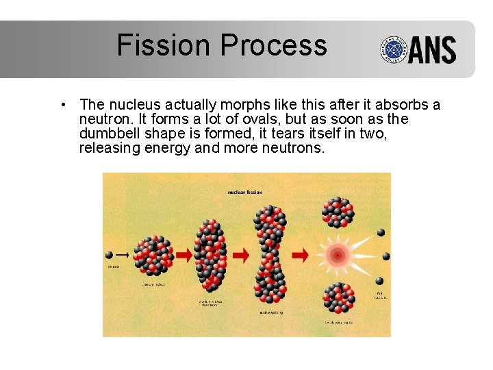 Fission Process • The nucleus actually morphs like this after it absorbs a neutron.