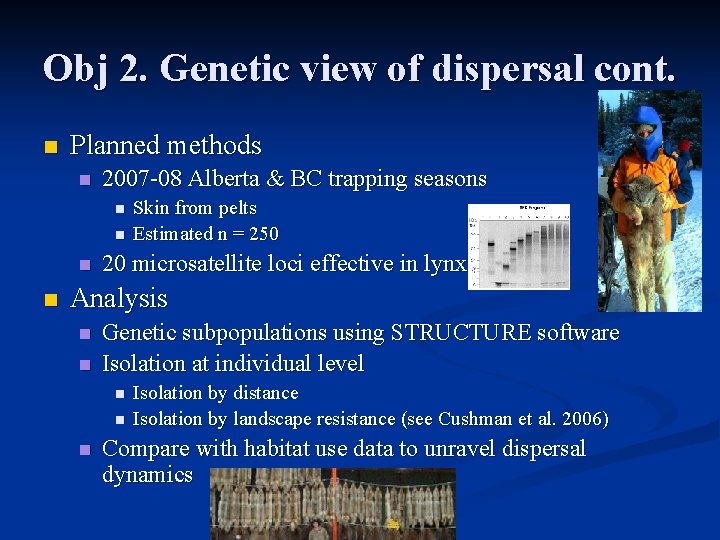 Obj 2. Genetic view of dispersal cont. n Planned methods n 2007 -08 Alberta