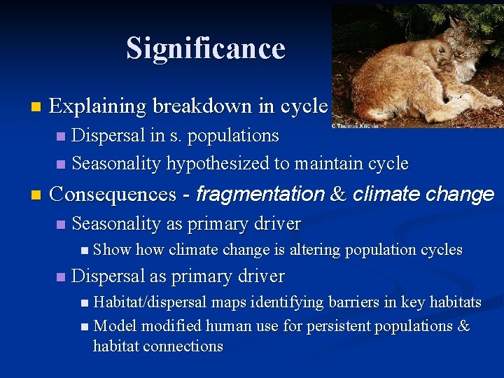 Significance n Explaining breakdown in cycle Dispersal in s. populations n Seasonality hypothesized to