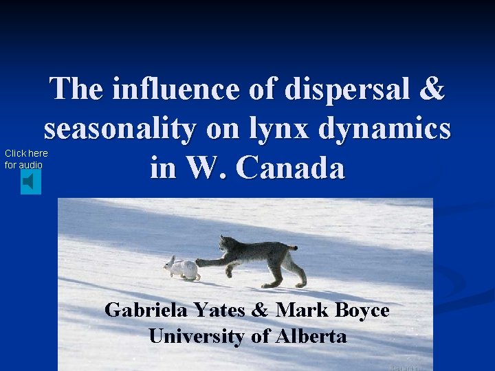 The influence of dispersal & seasonality on lynx dynamics in W. Canada Click here