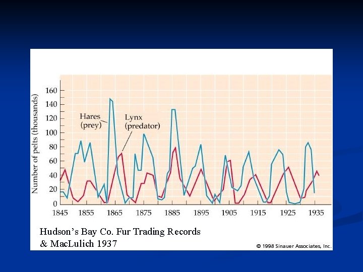 Hudson’s Bay Co. Fur Trading Records & Mac. Lulich 1937 