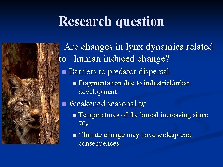 Research question n Are changes in lynx dynamics related to. human induced change? n