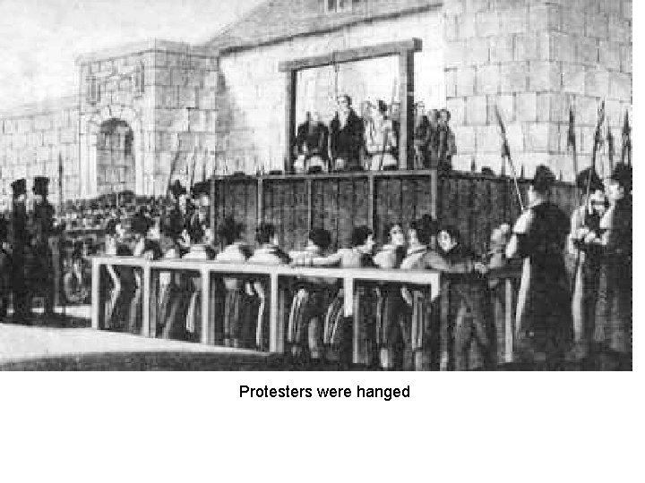 Protesters were hanged 