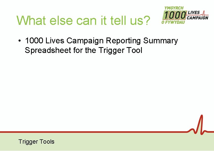 What else can it tell us? • 1000 Lives Campaign Reporting Summary Spreadsheet for