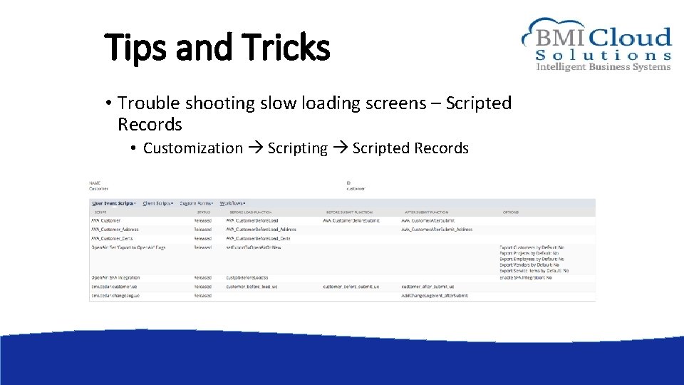 Tips and Tricks • Trouble shooting slow loading screens – Scripted Records • Customization