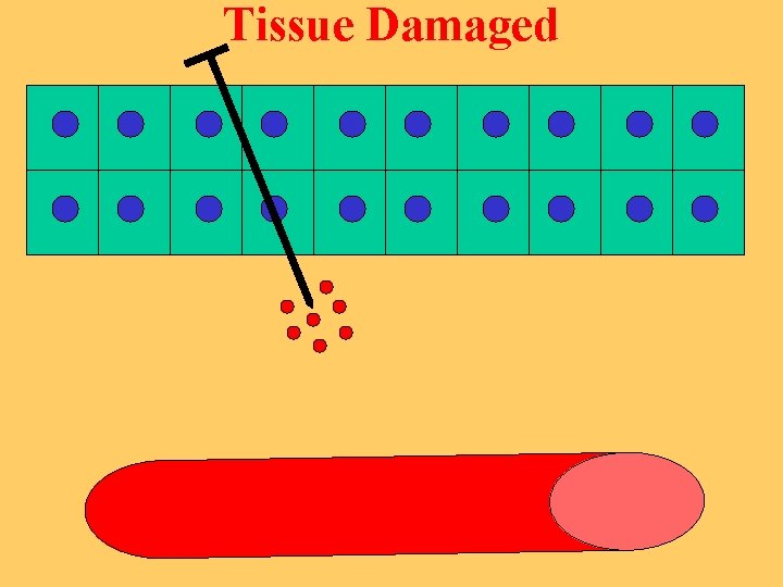 Tissue Damaged 