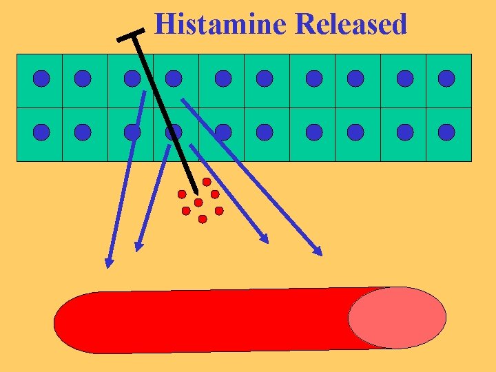 Histamine Released 