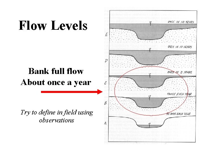 Flow Levels Bank full flow About once a year Try to define in field